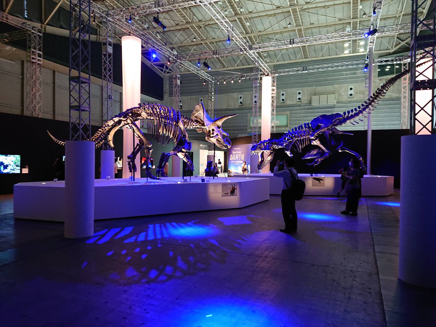 恐竜科学博のナイトミュージアムの照明