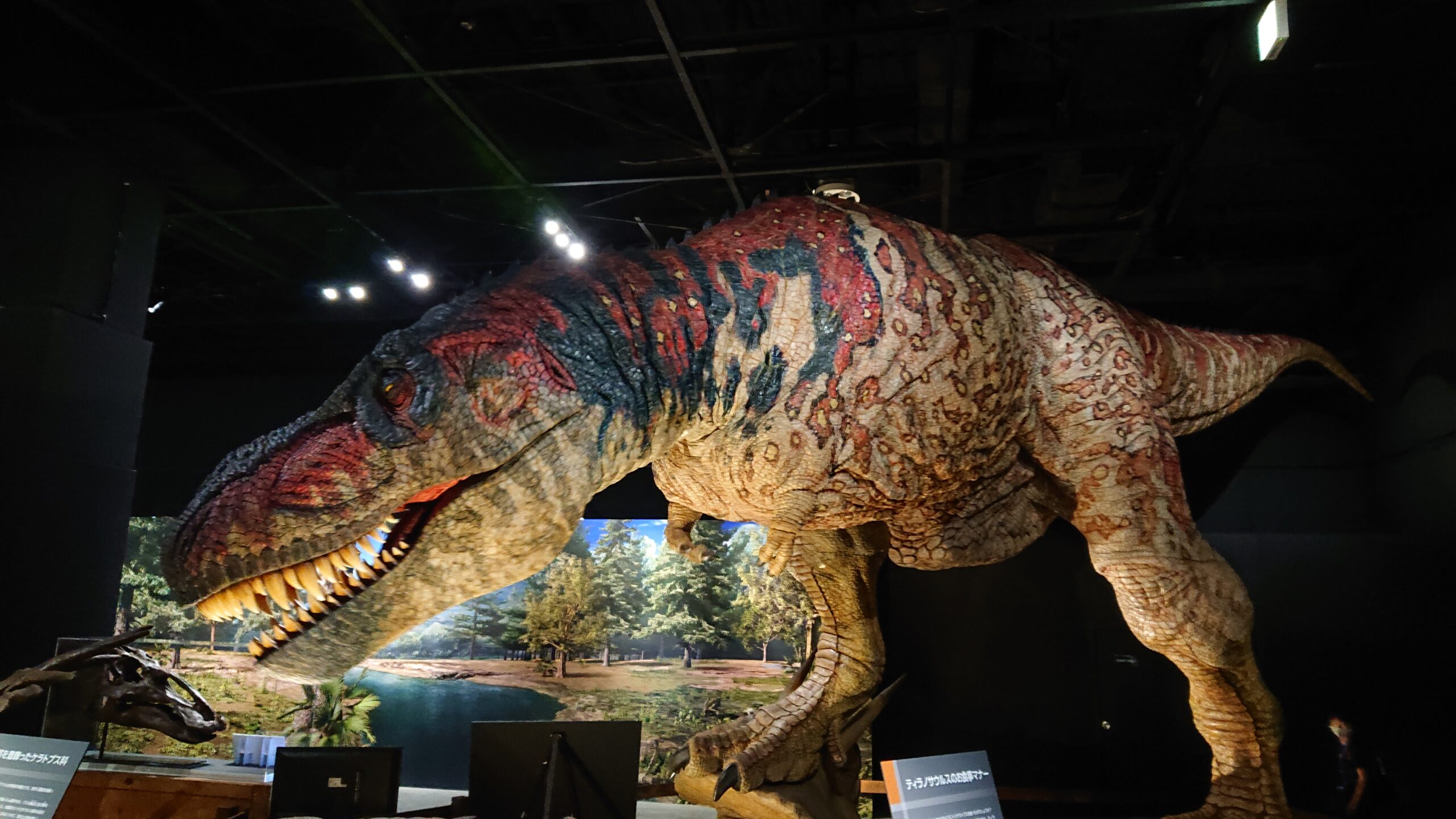 東京ドームシティで開催されている恐竜展2021のティラノサウルスのロボット