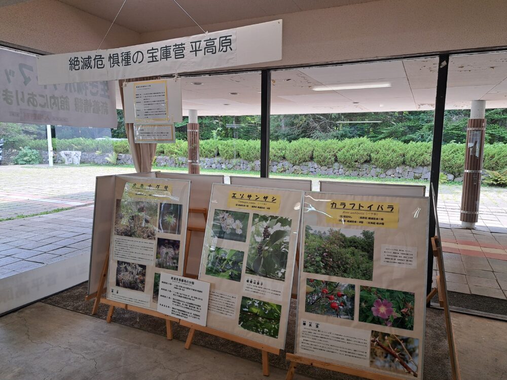 菅平高原自然館の絶滅危惧種