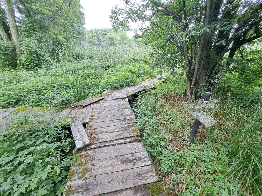 菅平高原自然館の菅平湿原のルートの分岐