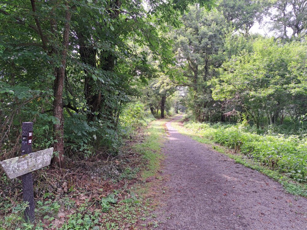 菅平高原自然館の菅平湿原の帰路