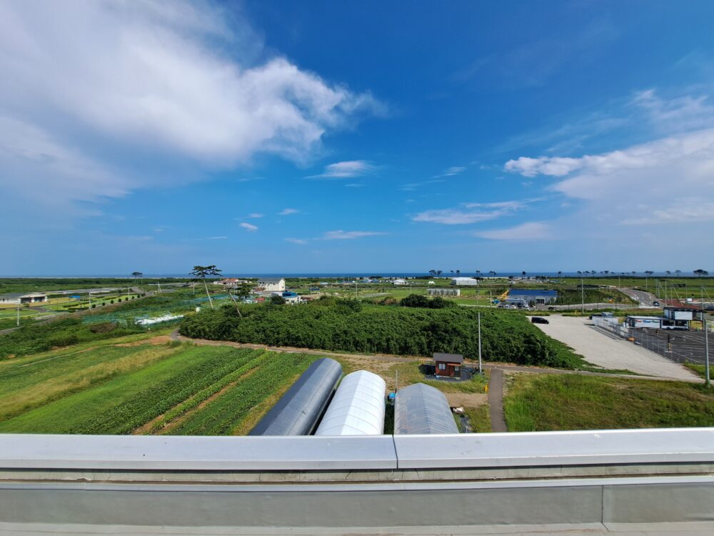 荒浜小学校の屋上からの景色