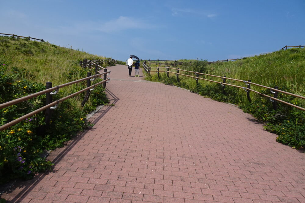 小清水原生花園は快適