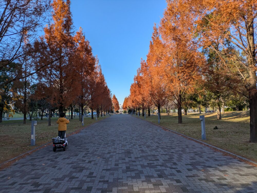 TokyoMiraiParkのストリーモ・モビリティサービス実証プログラム