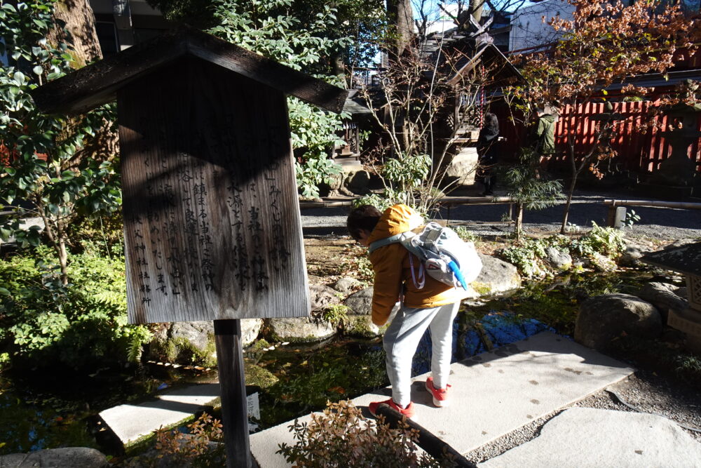 秩父神社の水占みくじ