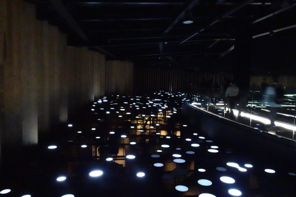 日本館の発酵で発光中