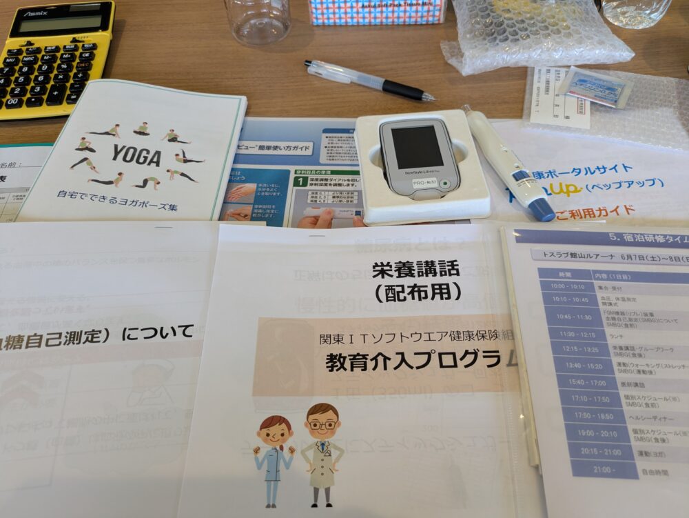 ITS教育介入プログラムのカリキュラム