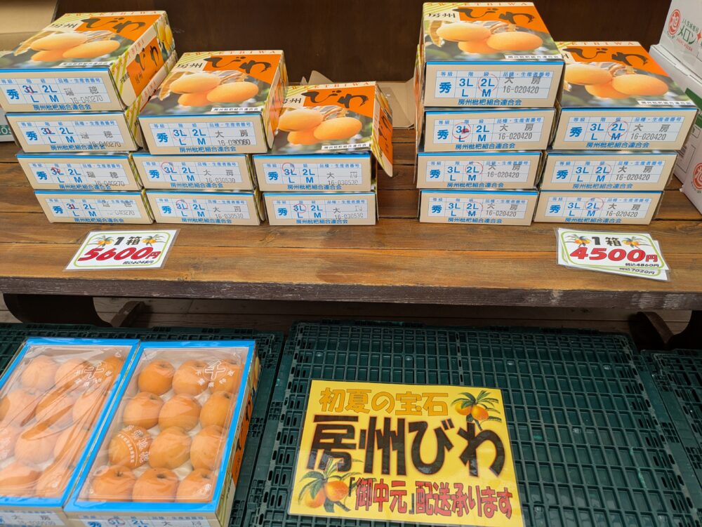 房総の駅とみうらにある房州びわ