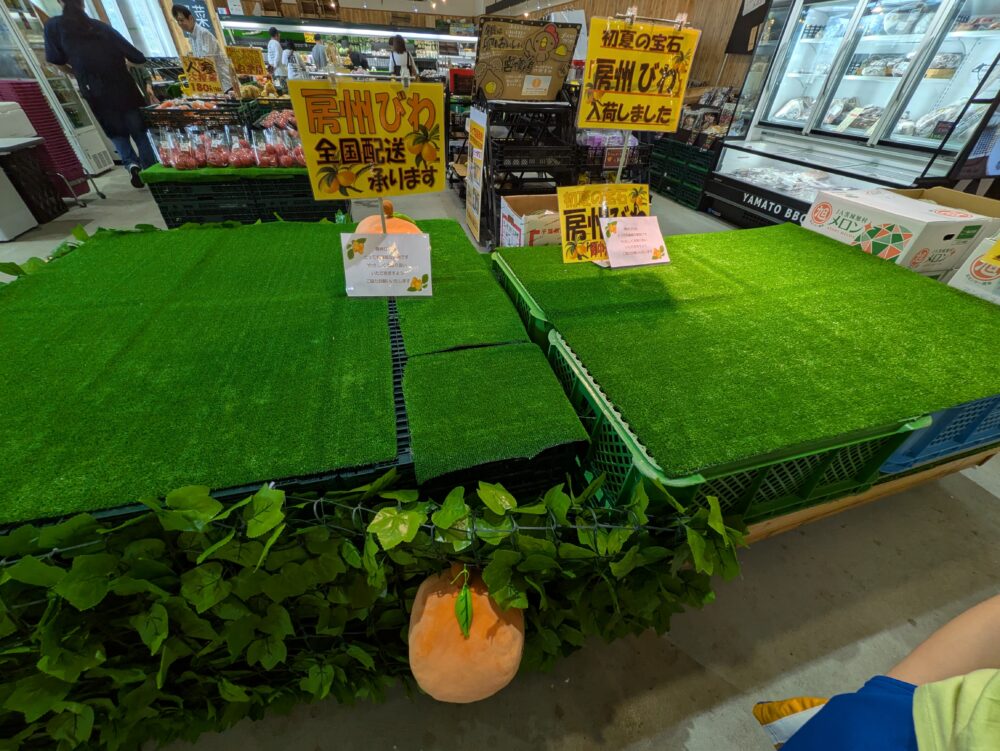 房総の駅とみうらのびわコーナー