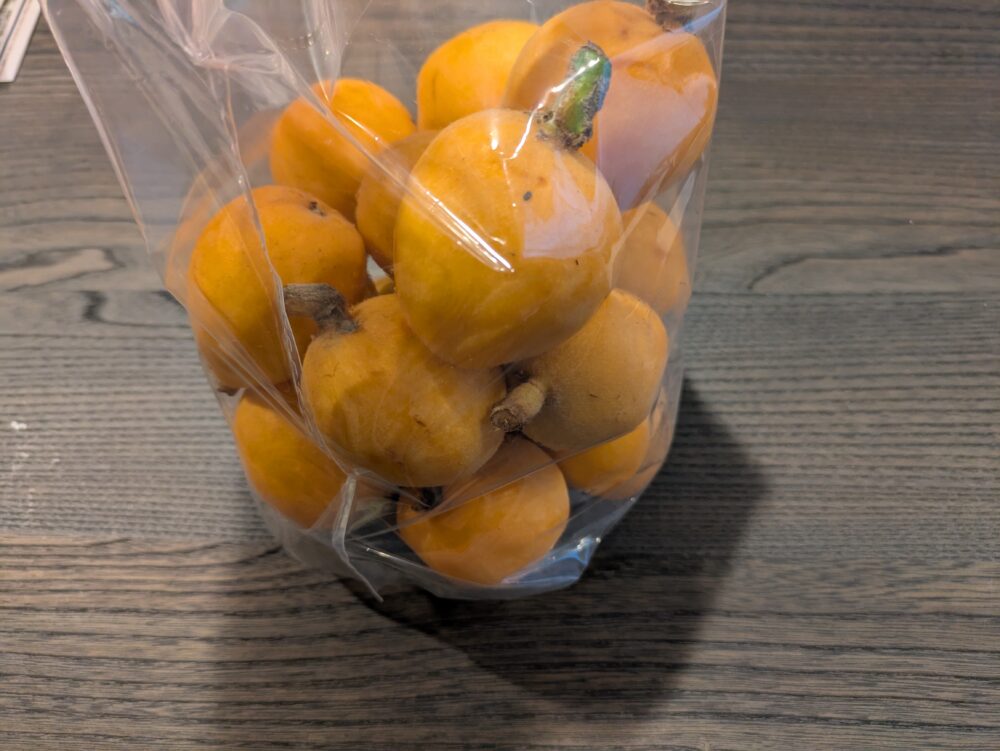 房州びわ