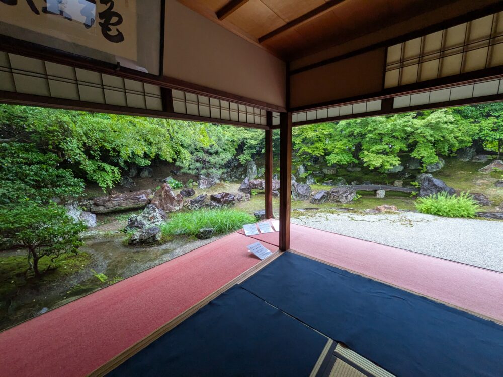 圓徳院の庭を眺める