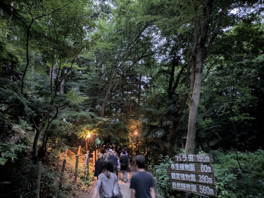 市川市動植物園のホタルエリアまでの道程