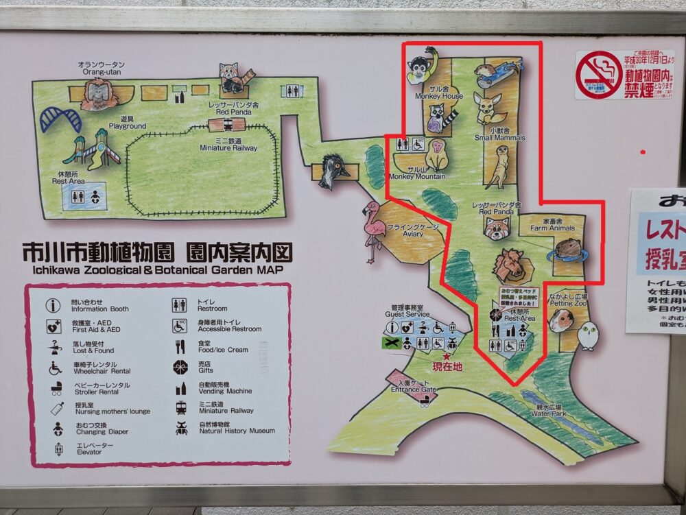 市川市動植物園のトワイライトZOO開放エリア