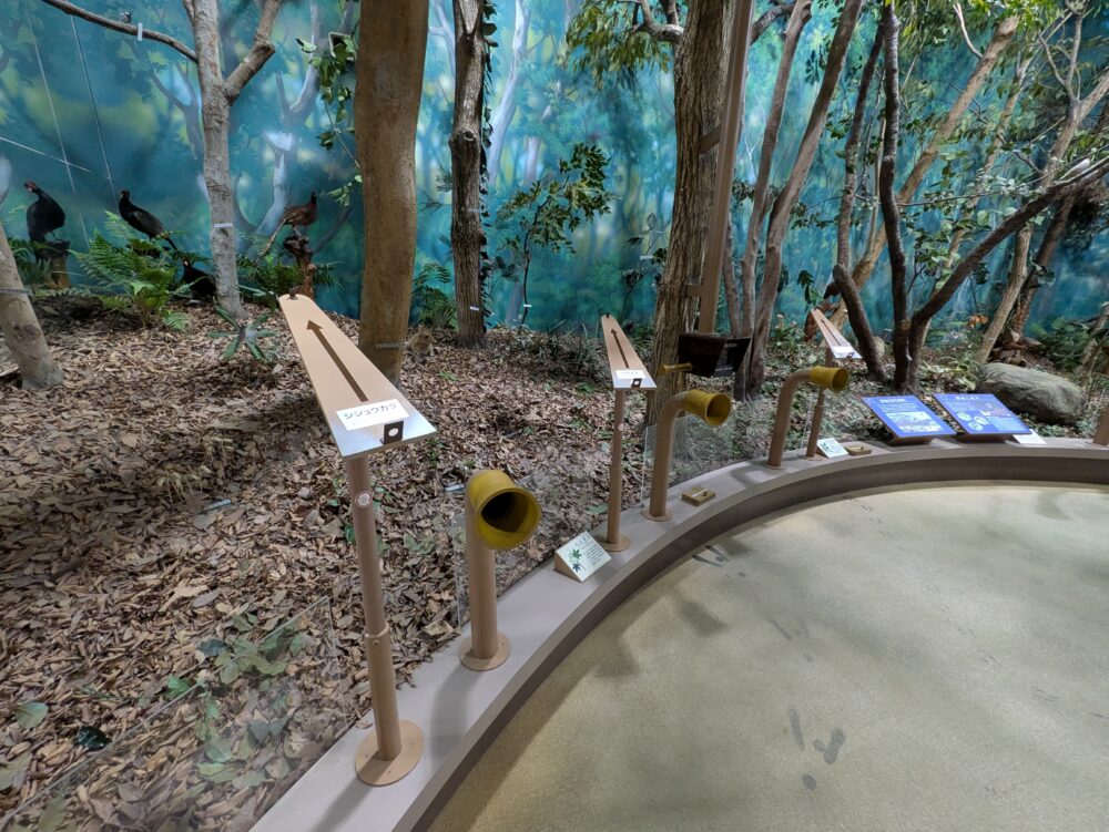 ふれあい野鳥館の森の展示