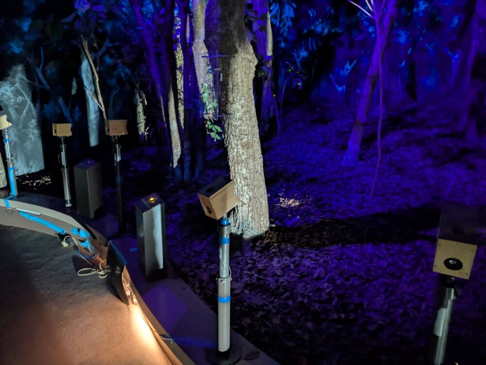 ふれあい野鳥館の夜の森