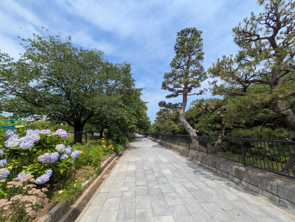 仁徳天皇陵古墳(大仙陵古墳)のお堀沿いの通り