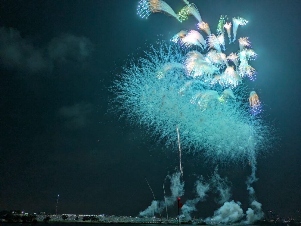 市川市民納涼花火大会の有料席からの花火の眺めその2