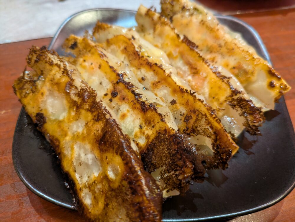 PAIRON餃子工房の野菜餃子