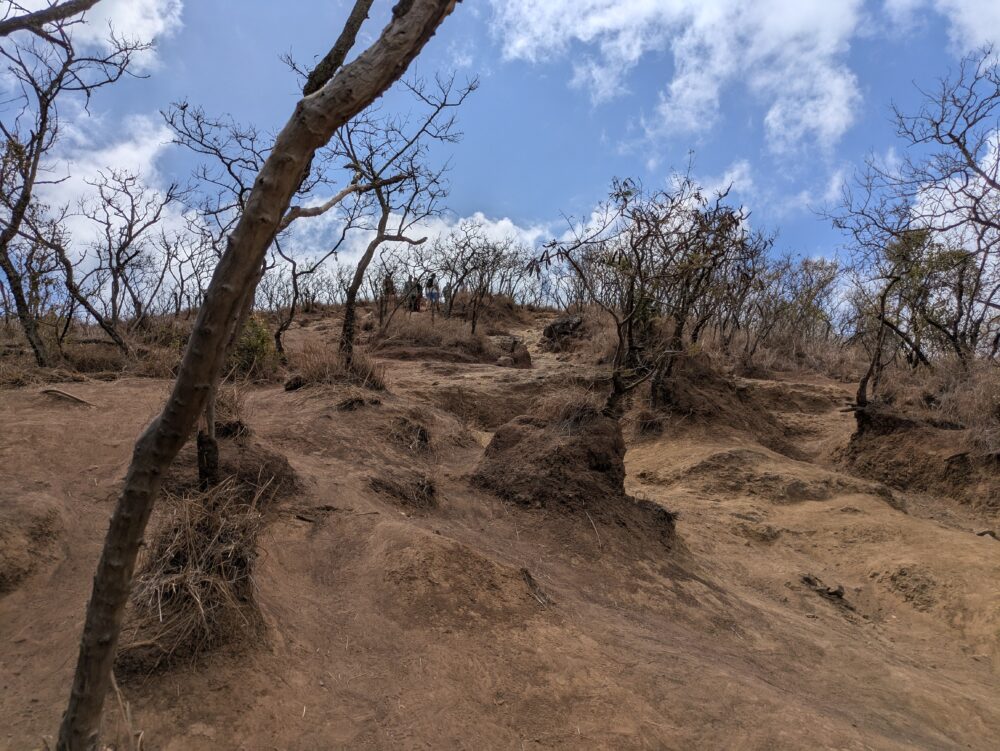 ラニカイピルボックスの登山道は滑ります