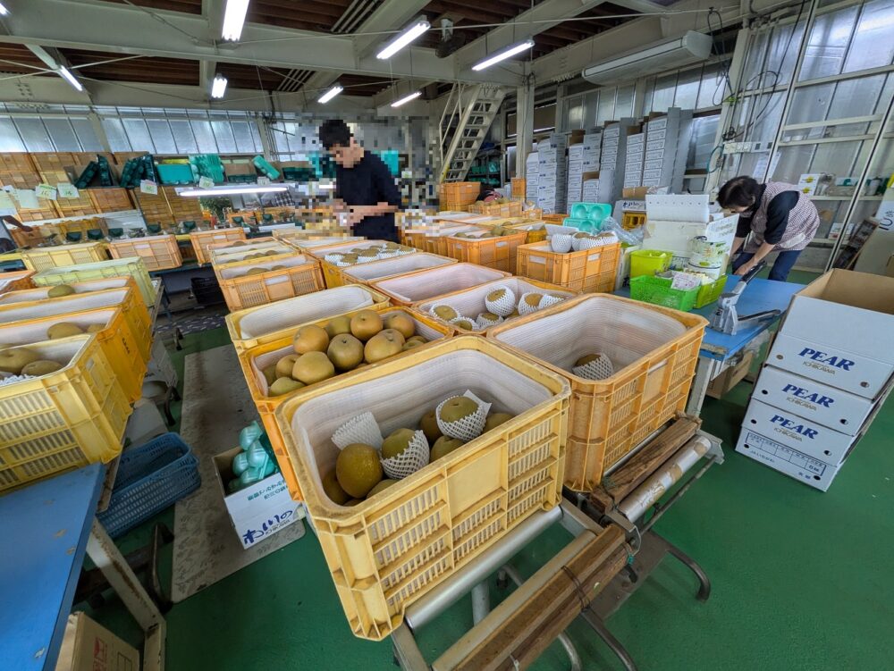大新園の店内