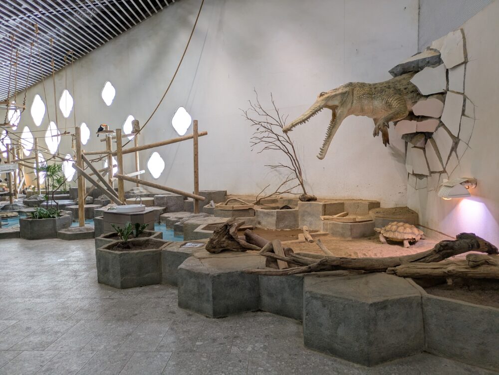 ニフレルのうごきの展示