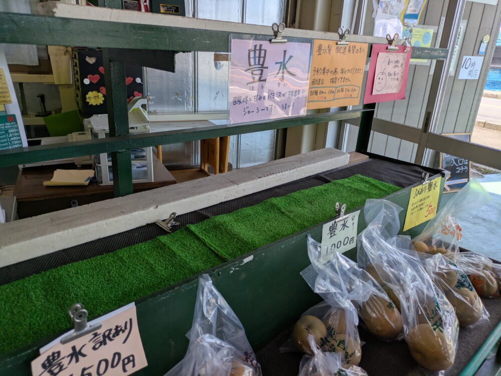大新園の豊水