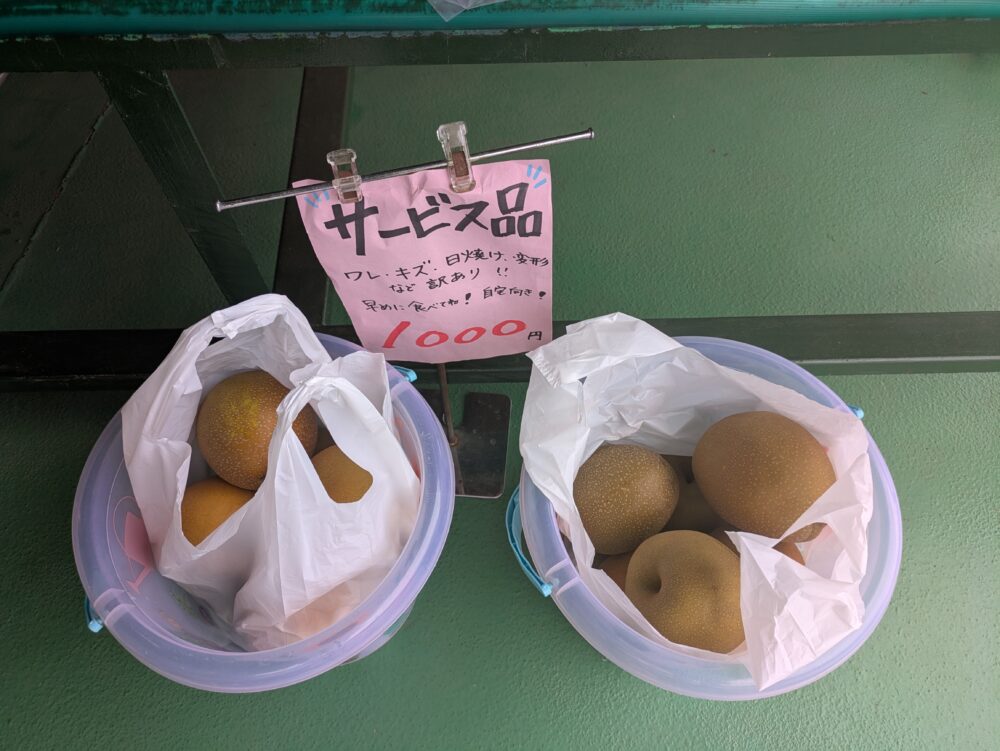 大新園のサービス品