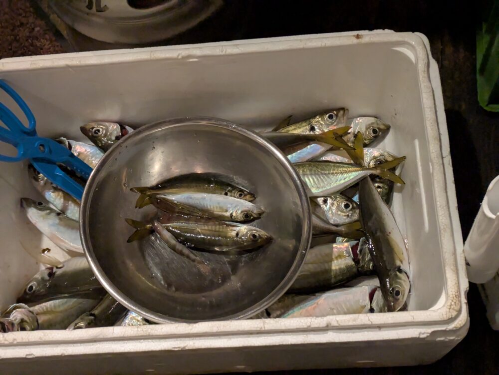 フライングフィッシュは魚の持ち込み可能