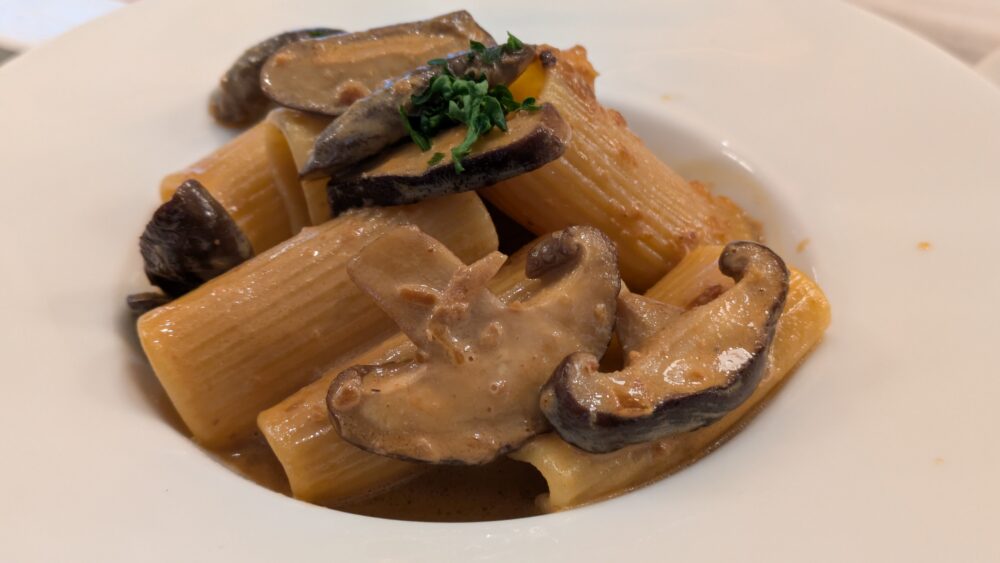 赤白の椎茸と赤味噌のリガトーニ