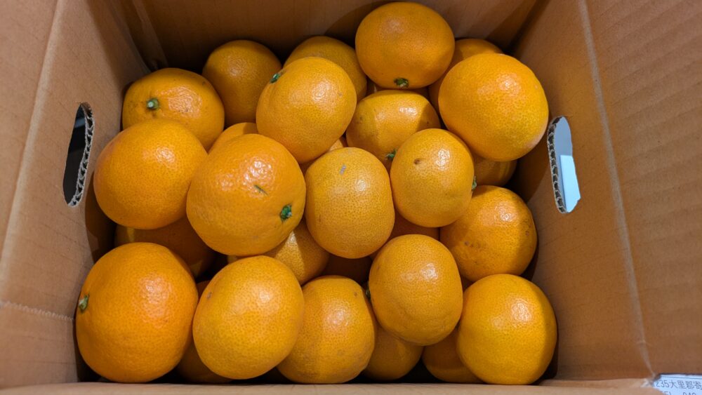 やまき園のみかん3kg
