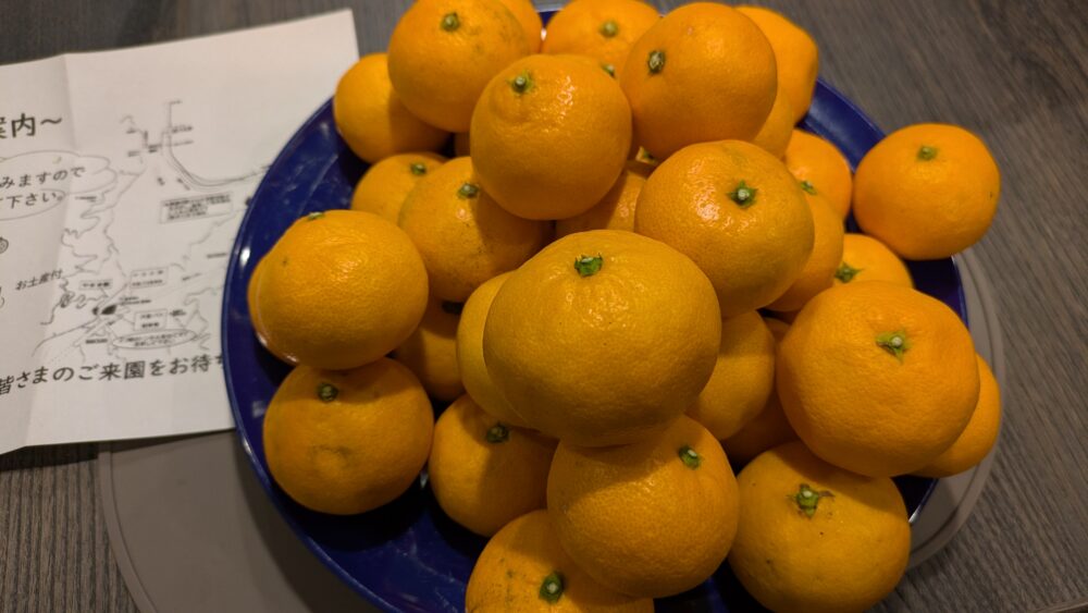 やまき園のみかんは絶品