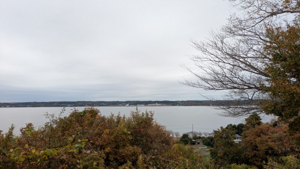 涸沼自然公園からの絶景