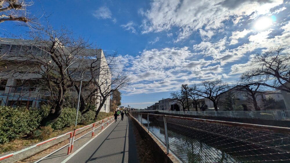 市川市民元旦マラソンの真間川沿いは快適