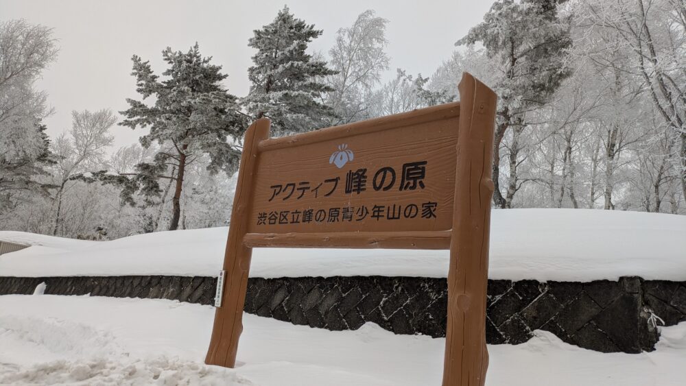 アクティブ峰の原