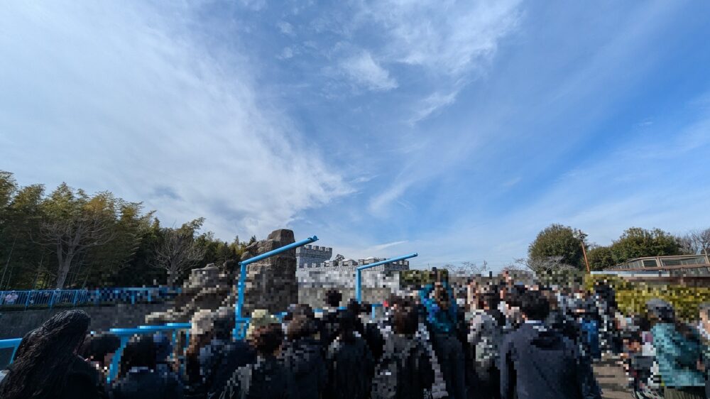 市川市動植物園のサル山