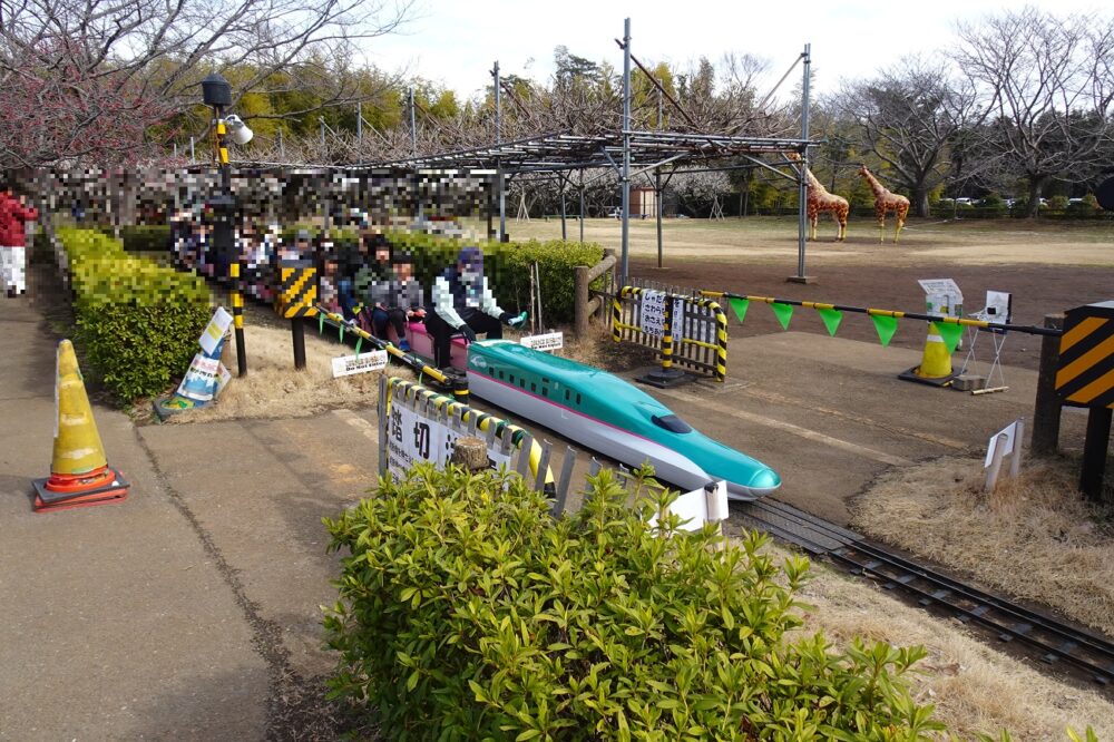 市川市動植物園のミニトレイン