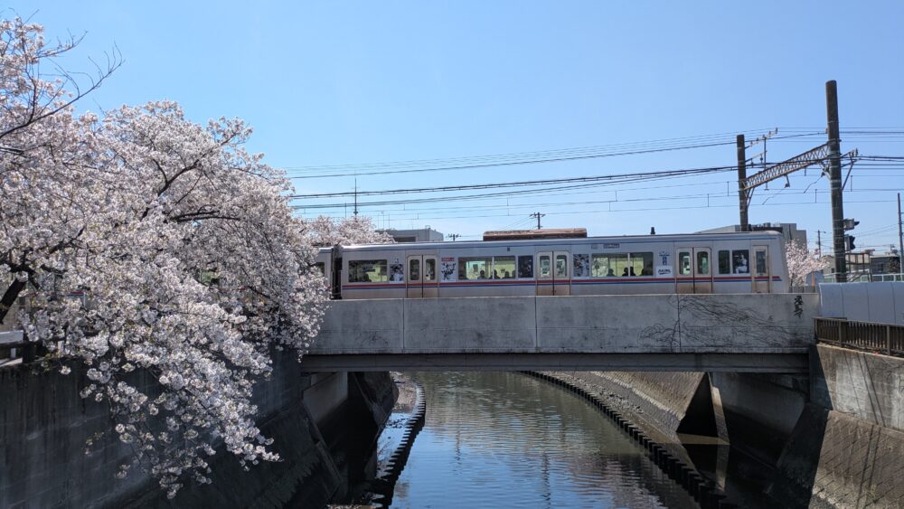 真間川の桜と京成線