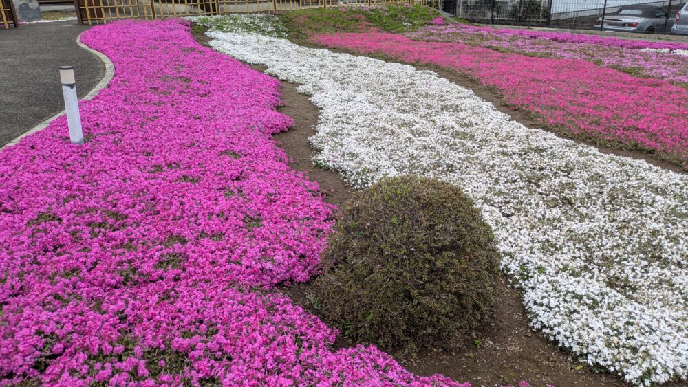 郭沫若記念館の庭園