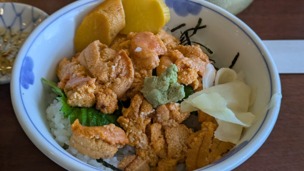 一山いけすのうに丼