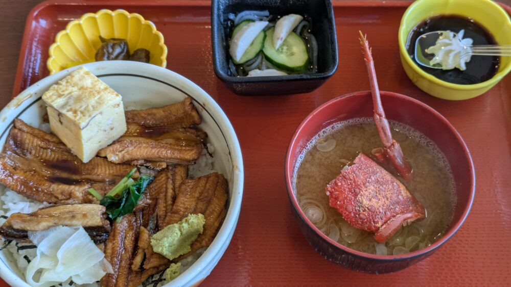 一山いけすの穴子丼