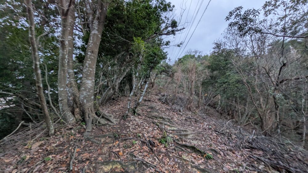 早朝の城崎温泉の温泉寺の山頂方面を間違って進む