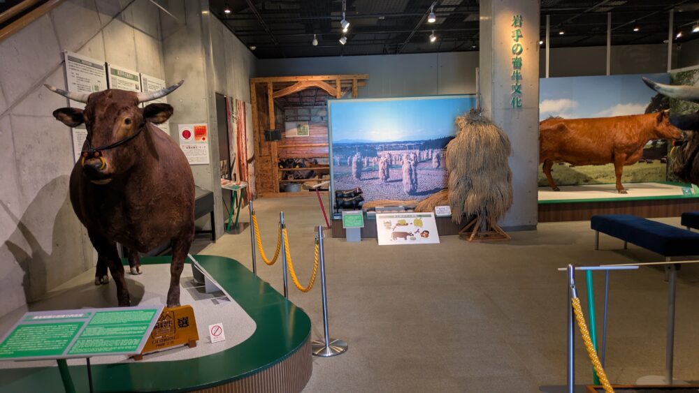 牛の博物館の歴史
