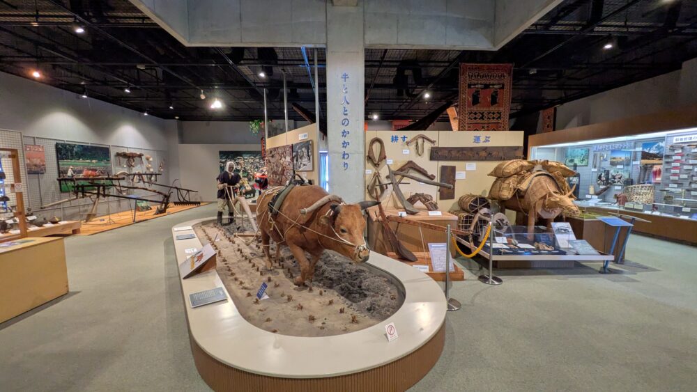 牛の博物館の展示は充実