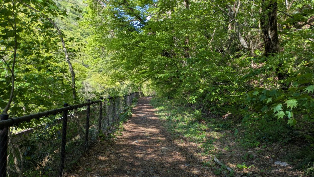 抱返り渓谷の散策路