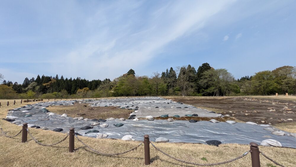 伊勢堂岱遺跡の環状列石は見ごたえあり