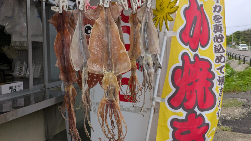 いかやき磯舟のスルメイカ