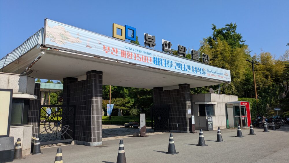 釜山博物館