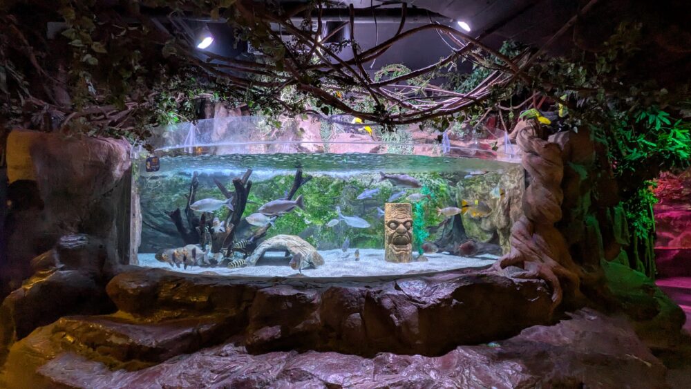 シーライフ釜山アクアリウムの展示