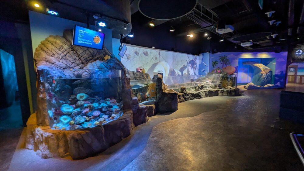 シーライフ釜山アクアリウムの水槽