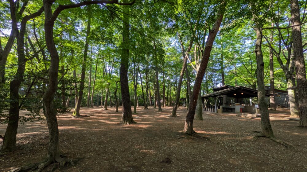 清水公園キャンプ場は快適